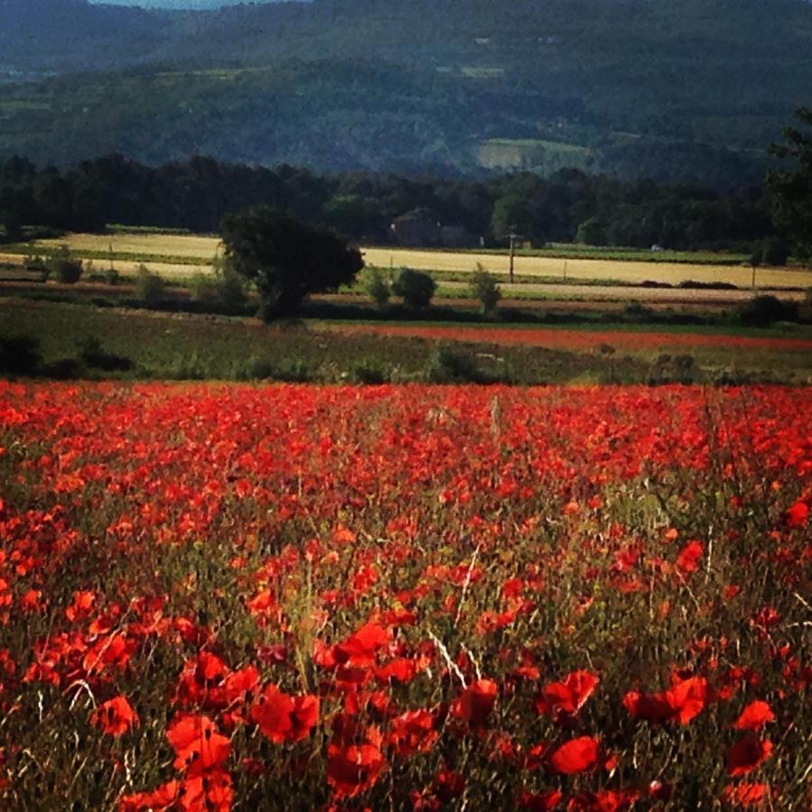 Le Mas De La Glycine Roussillon en Isere Εξωτερικό φωτογραφία